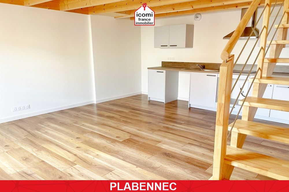 A VENDRE - APPARTEMENT T2 45M² - DALLE BETON - 1 CHAMBRE - DUPLEX - LOCATAIRE EN PLACE - BON RENDEMENT