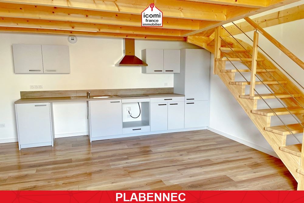 A VENDRE - APPARTEMENT T2 45M² - DALLE BETON - 1 CHAMBRE - DUPLEX - LOCATAIRE EN PLACE - BON RENDEMENT