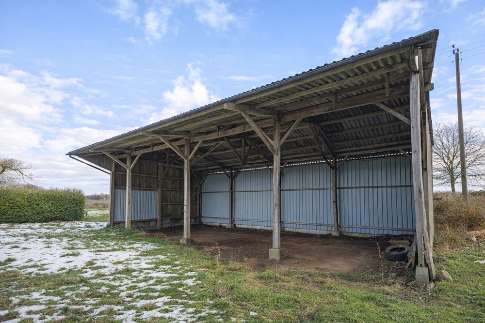 CORPS DE FERME - TERRAIN DE 6.000M² - 4/5 CHAMBRES - HANGAR - DEPENDANCES - SURFACE CULTIVABLE photo 5