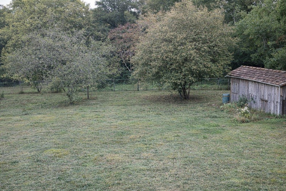 CHAILLAC-SUR-VIENNE - MAISON - 115 M2 photo 5
