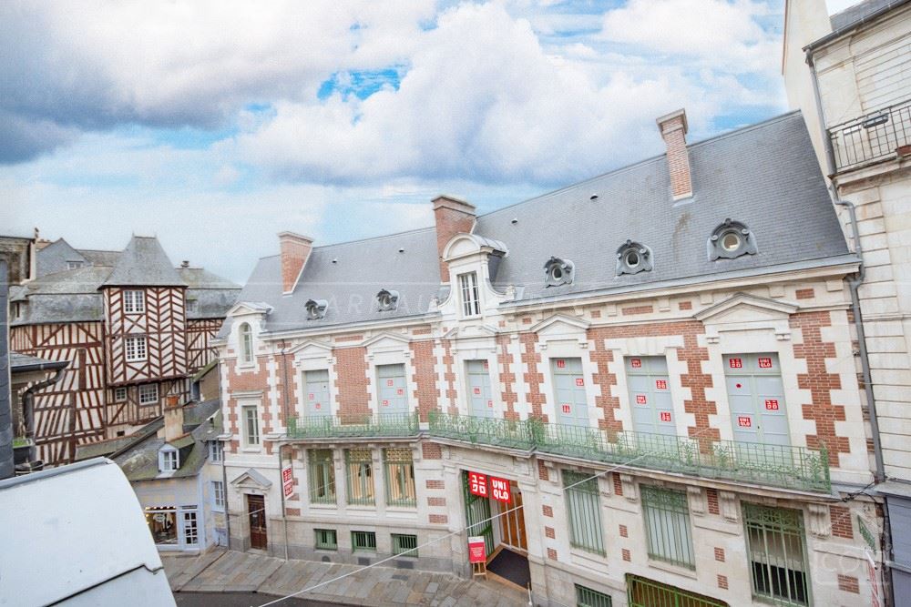 APPARTEMENT - T2 DE 50 M² - 2ND ET DERNIER ETAGE - BALCON - RENOVATION DE QUALITE - EXCEPTIONNEL photo 5