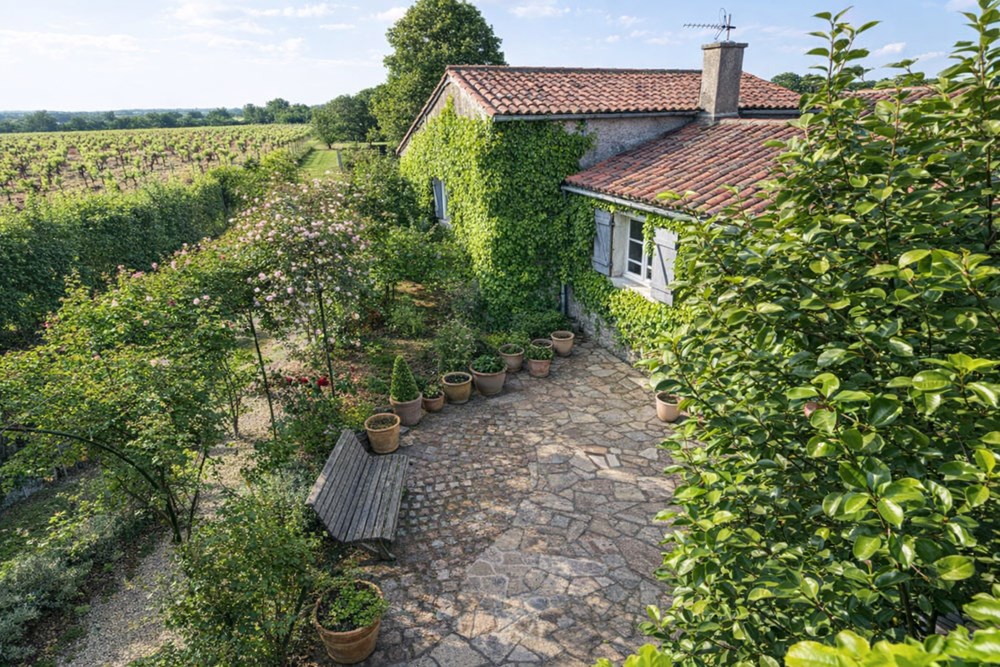VALLET - MAISON - 250 M2 - 1 PIECE photo 4