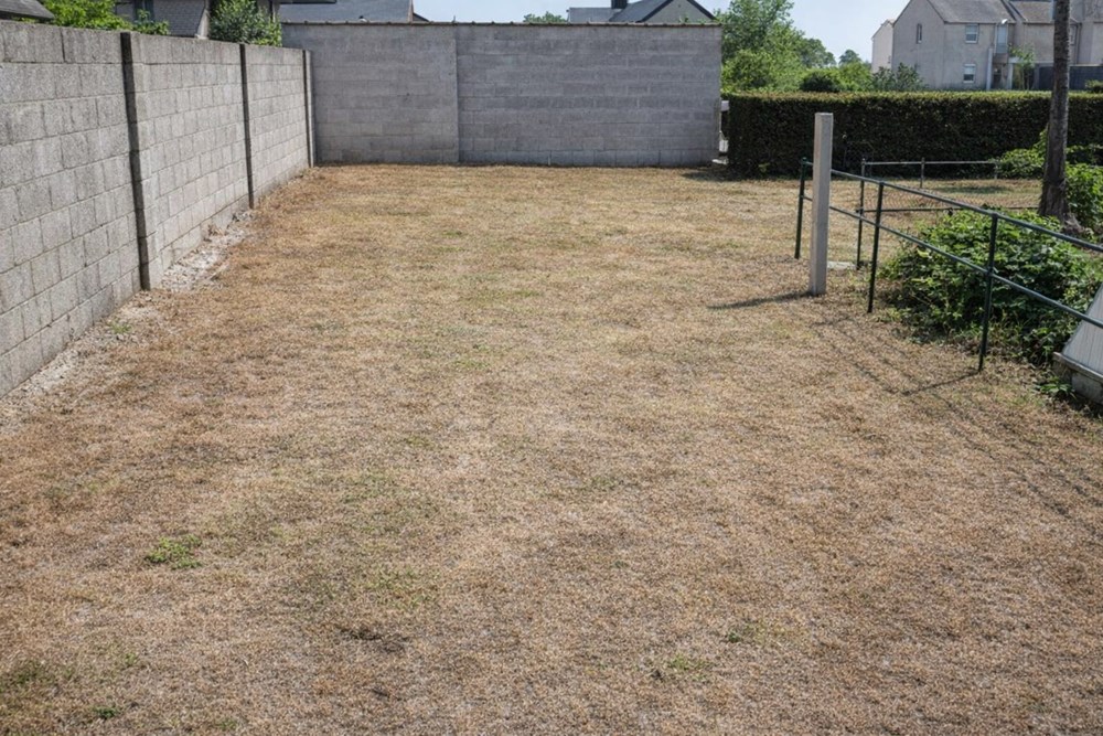 SCAëR - TERRAIN - 450 M2 photo 2