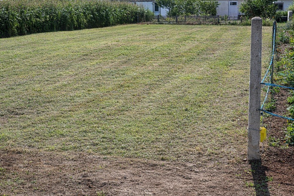 SCAëR - TERRAIN - 450 M2 photo 3