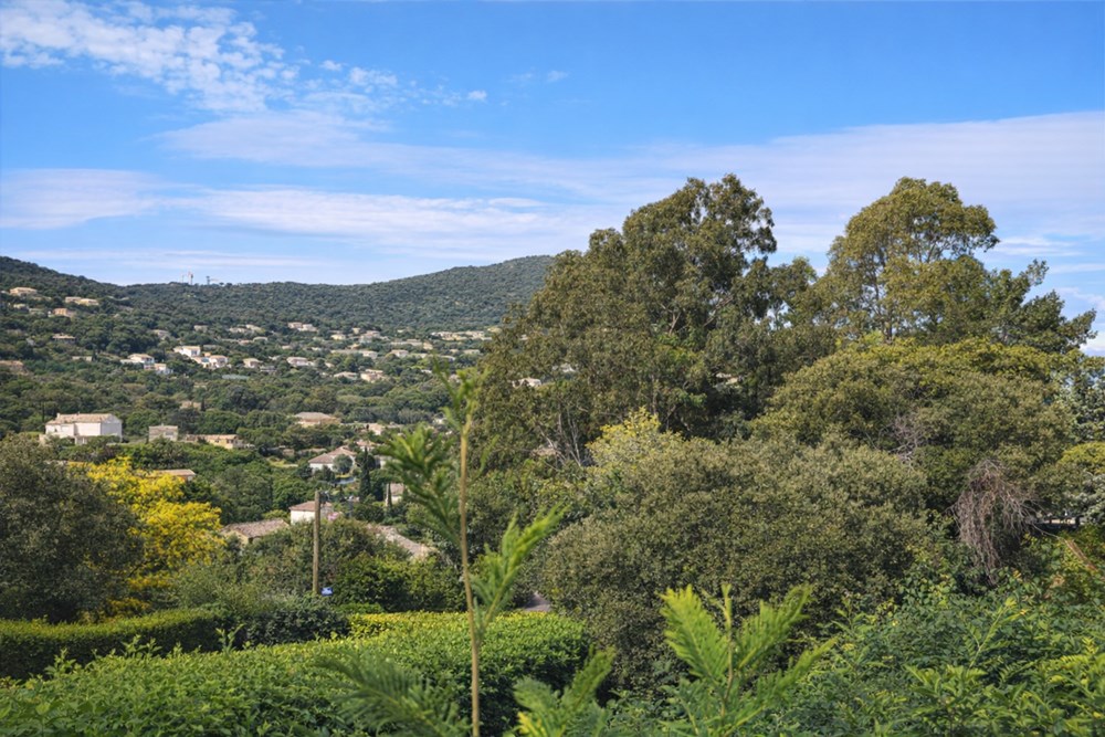 SAINTE-MAXIME - TERRAIN - 1617 M2 photo 2