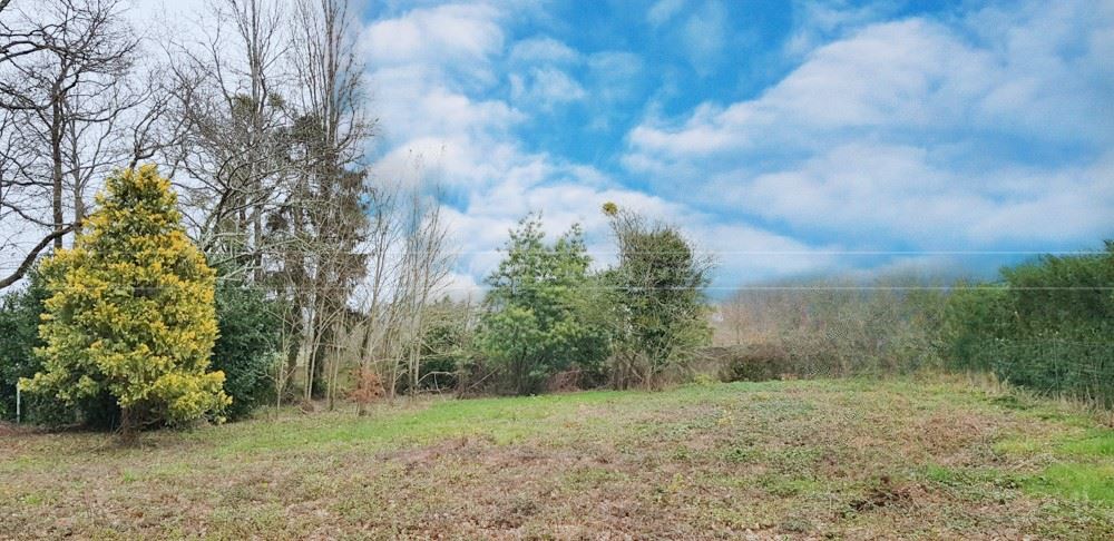 LOIRE-ATLANTIQUE - PONTCHATEAU (44160) - TERRAIN DE 1.870 M² LIBRE DE CONSTRUCTEUR photo 2