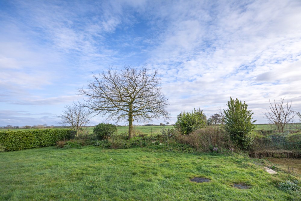 MAISON CONTEMPORAINE DE 2012 - T5 120M² - 4 CHAMBRES - TERRAIN 800M² - AUCUN TRAVAUX - PLAIN PIED photo 5
