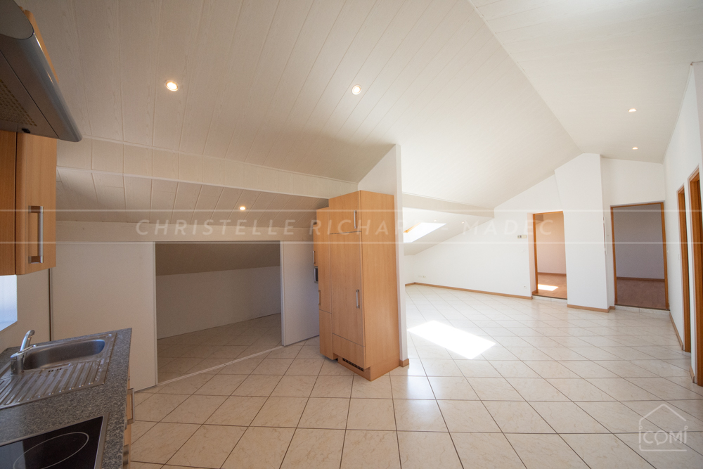 APPARTEMENT LOFT - DERNIER ETAGE - TERRASSE - AUCUN TRAVAUX - RARE photo 4