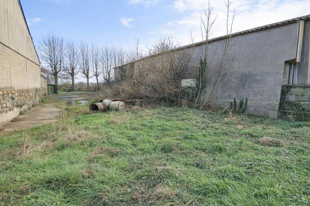 LOCMARIA-PLOUZANé - LOCAL - 200 M2 - 1 PIECE photo 4