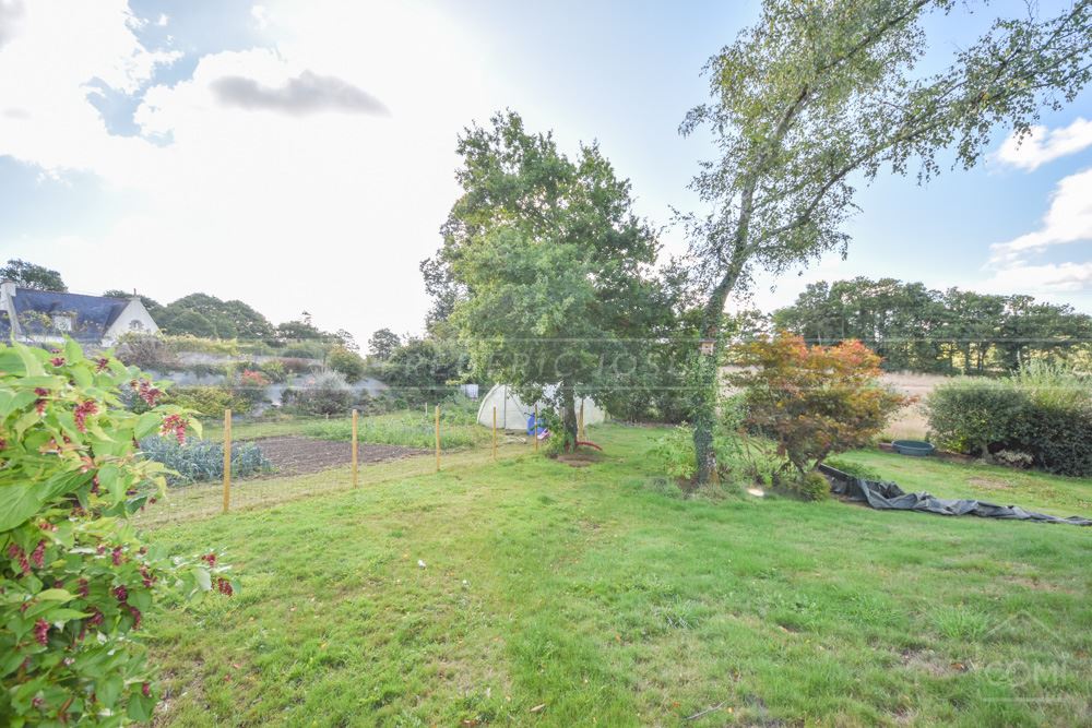 MAISON 130 M2 - TERRAIN 4000M2 - CALME photo 3
