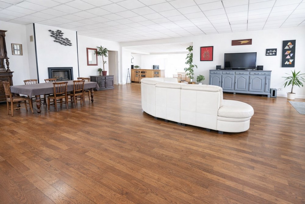 MAISON - LOFT - 300 M² - ENTREPOT 200 M² - IDEAL IMPLANTATION ENTREPRISE photo 5