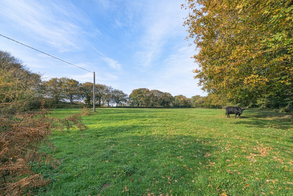2 MAISONS + TERRES AGRICOLES - TRES GRAND POTENTIEL - PROCHE VOIE VERTE ET RN 164 - A RENOVER photo 4