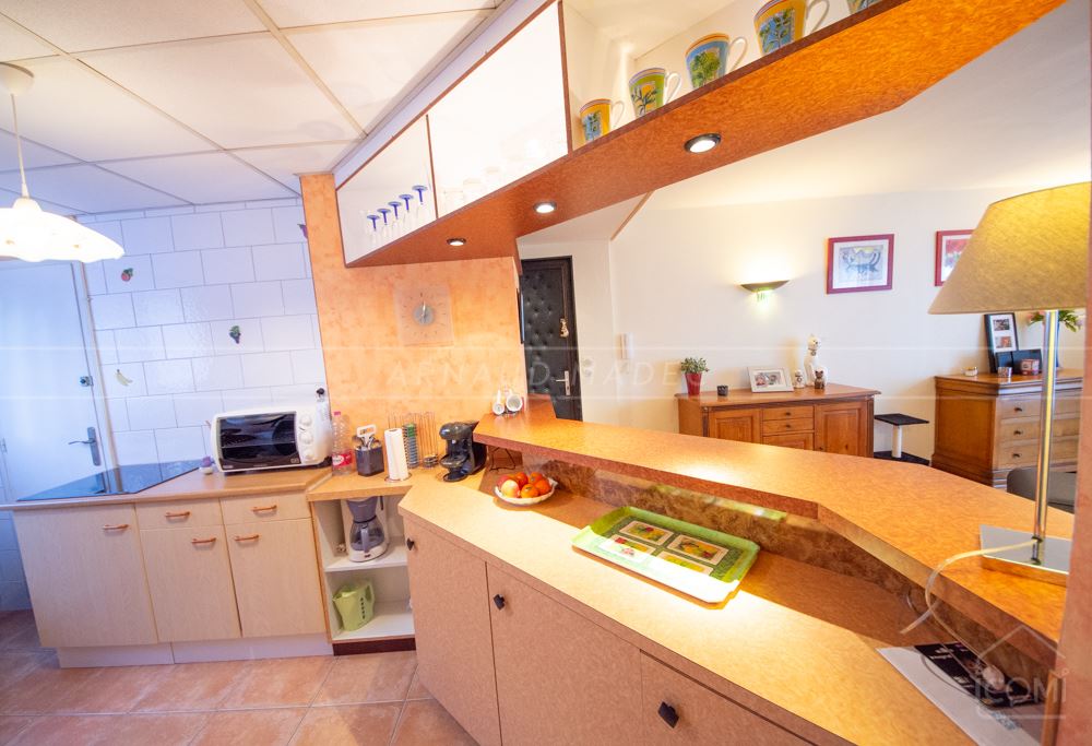 APPARTEMENT T3 - EXCEPTIONNELLE PIECE DE VIE DE +40M² - CALME - LUMINEUX - PROCHE CENTRE VILLE photo 3