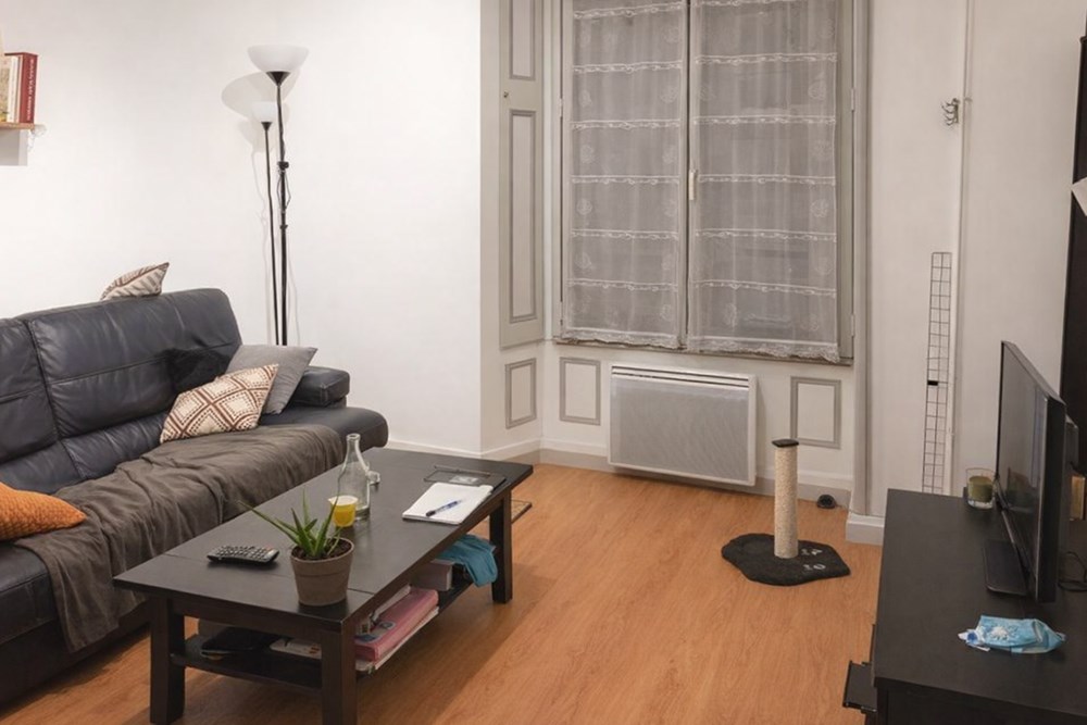 APPARTEMENT T2 - 1 CHAMBRE - CALME - CHARME - HYPER CENTRE VILLE - IDEAL INVESTISSEUR