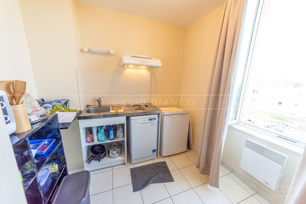 APPARTEMENT T2 43M² AVEC CAVE, PLACE DE PARKING PRIVEE, ASCENSEUR ET GRANDS ESPACES VERTS photo 4
