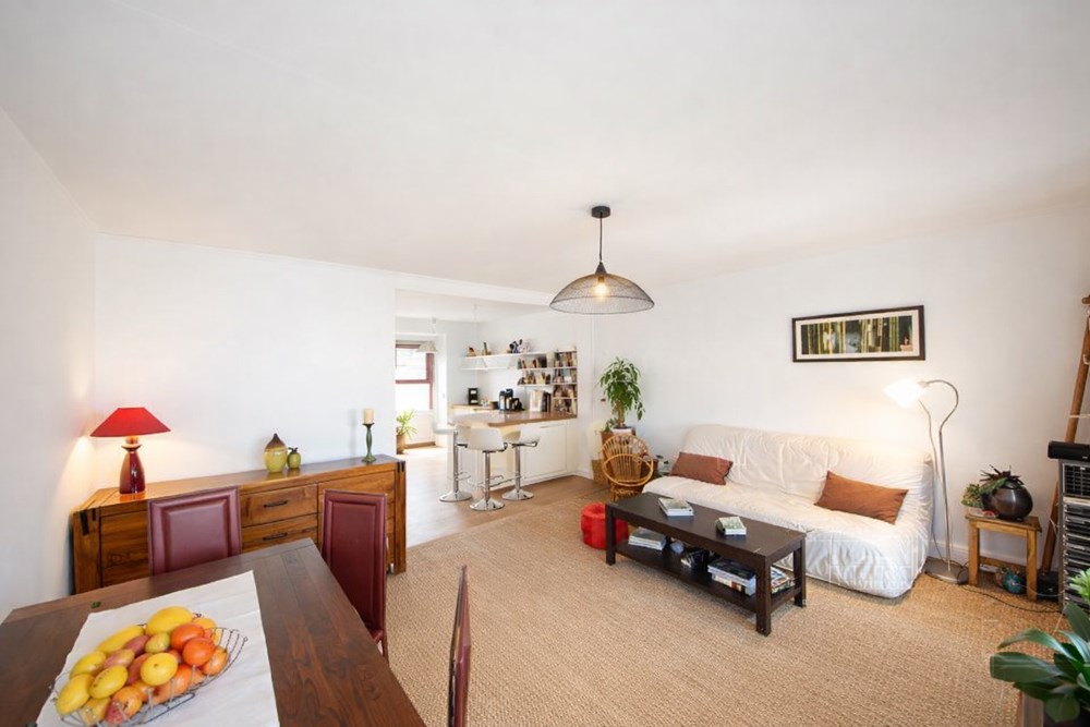 APPARTEMENT T2/T3 - SUPERBE PIECE DE VIE TRAVERSANTE DE +35M² - CUISINE US - CHARME - COUP DE COEUR - RARE photo 3