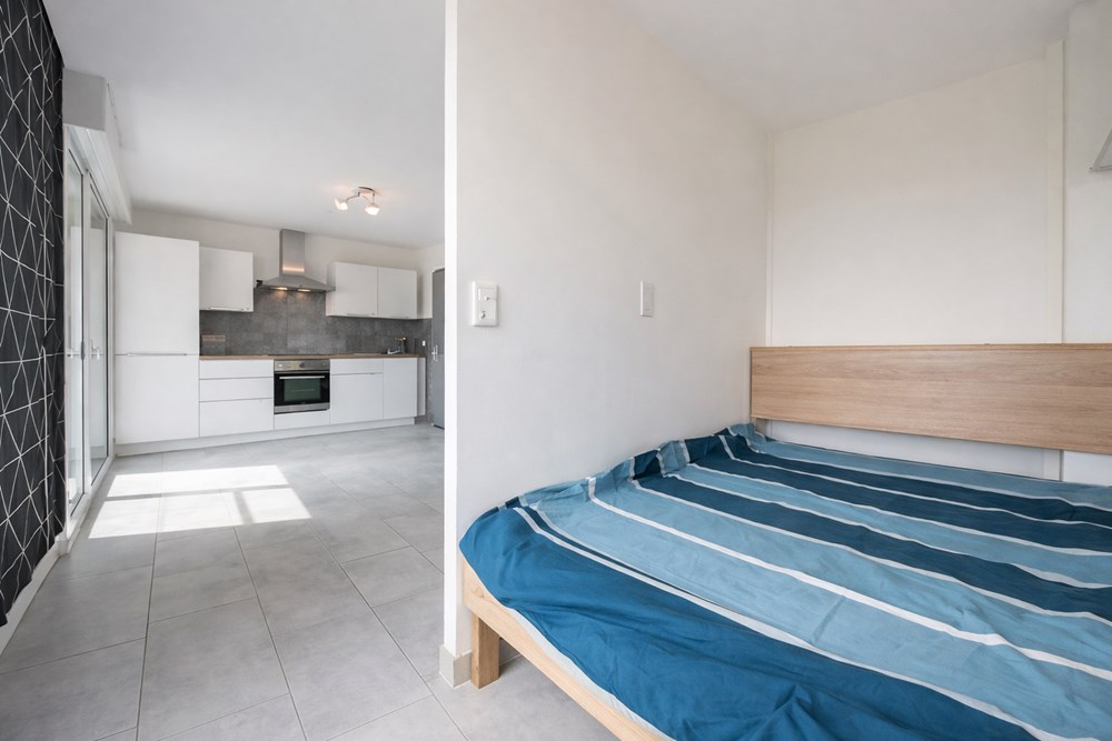 APPARTEMENT ENTIEREMENT RENOVE DE 30 M2 - COIN NUIT - BALCON -DALLE BETON - PLACE DE PARKING PRIVATIVE - CAVE photo 4