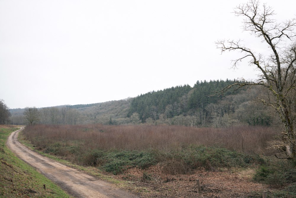 GRAND TERRAIN BOISE - 3,2 HECTARES - AU BORD D'UNE RIVIERE - CADRE EXCEPTIONNEL - NON CONSTRUCTIBLE
