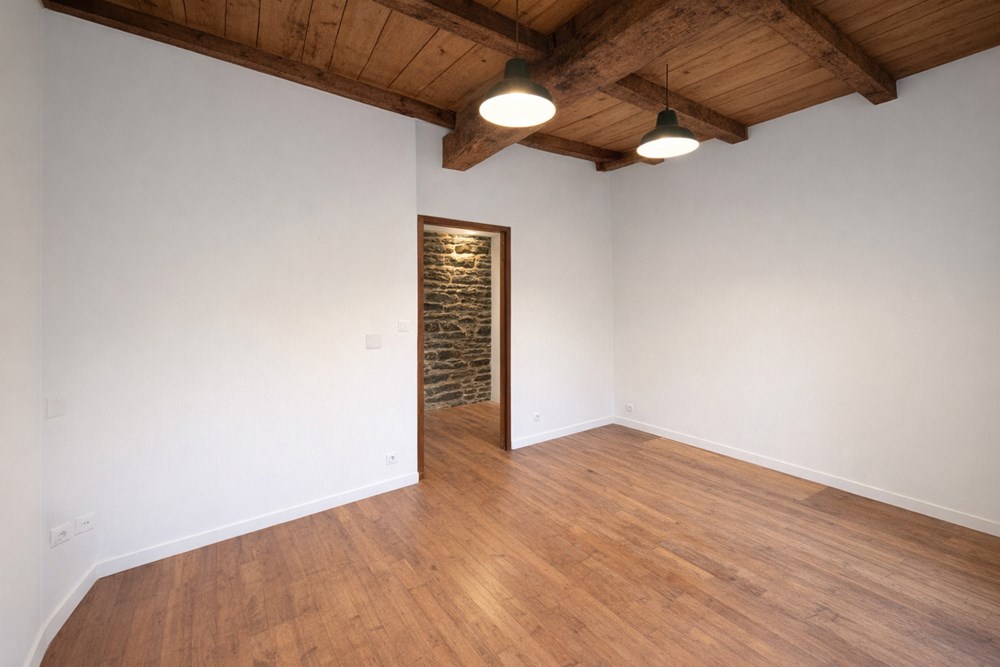 MAISON - 100 M² - 2 CHAMBRES -RENOVATION MAGNIFIQUE -PIERRES ET POUTRES APPARENTES - MODERNITE - PIECE DE VIE 60M² photo 5