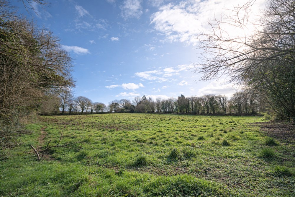 TERRAIN DE 5000 M² - A PROXIMITE DU BOURG - IDEAL POUR CHEVAUX OU ANIMAUX - CALME - PLAT photo 2