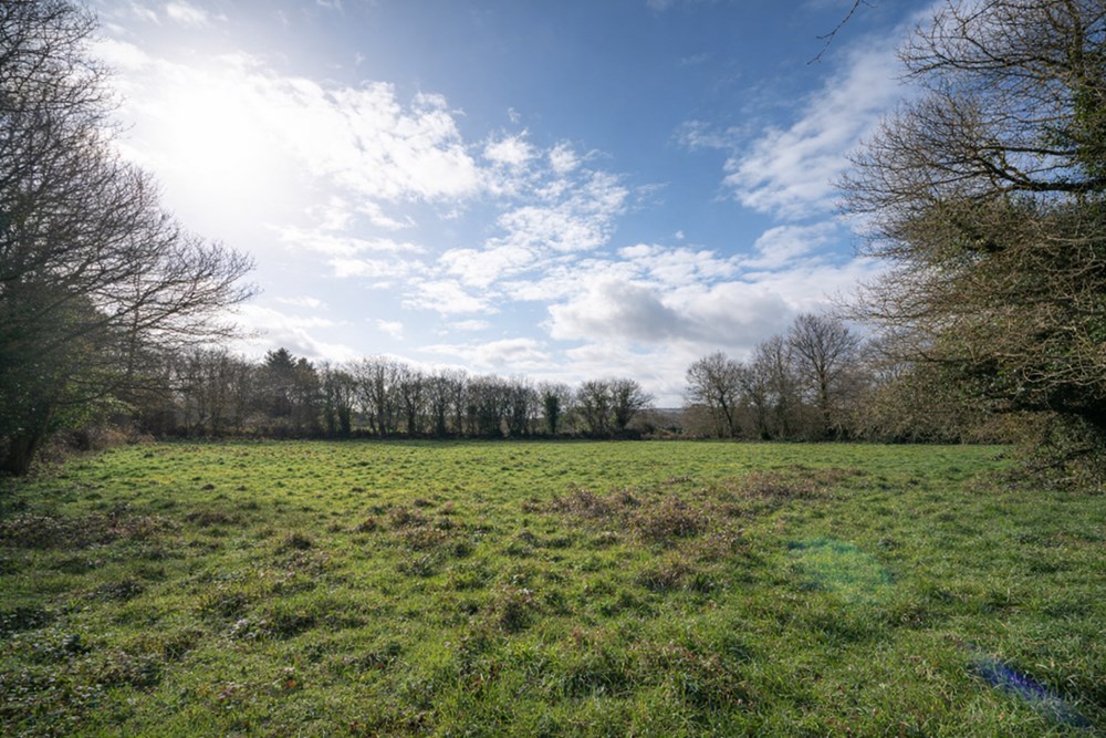 TERRAIN DE 5000 M² - A PROXIMITE DU BOURG - IDEAL POUR CHEVAUX OU ANIMAUX - CALME - PLAT photo 3