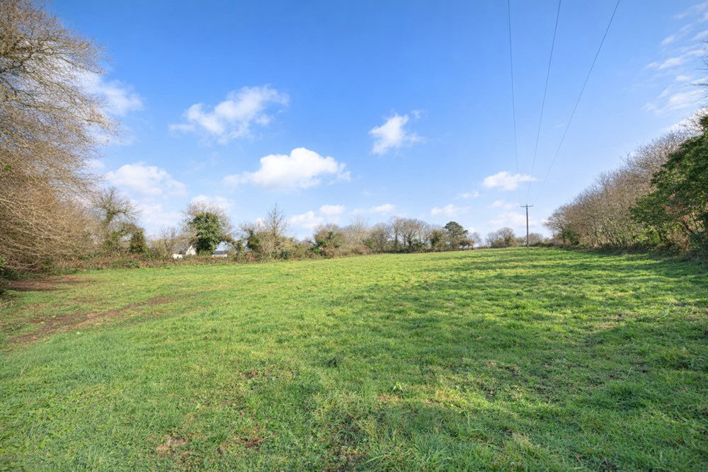 TERRAIN DE 5000 M² - A PROXIMITE DU BOURG - IDEAL POUR CHEVAUX OU ANIMAUX - CALME - PLAT photo 5