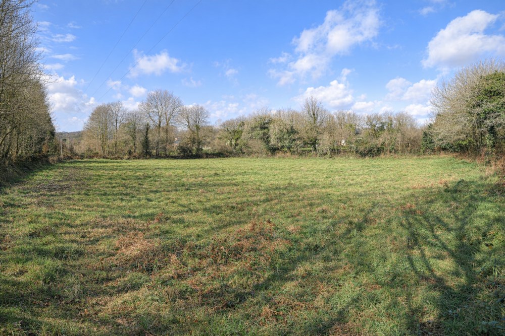 TERRAIN DE 5000 M² - A PROXIMITE DU BOURG - IDEAL POUR CHEVAUX OU ANIMAUX - CALME - PLAT