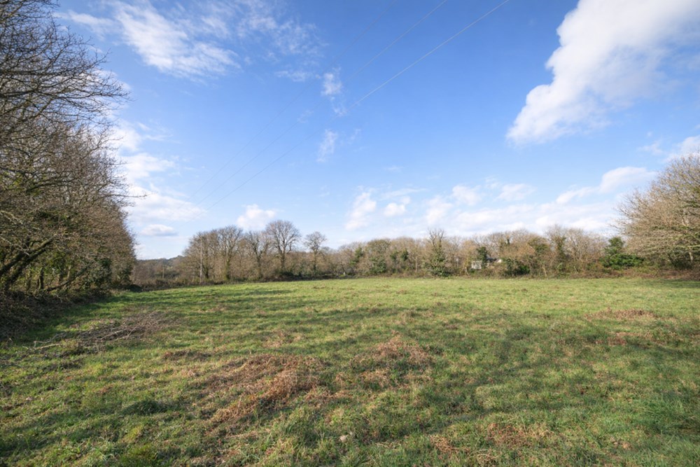 TERRAIN DE 5000 M² - A PROXIMITE DU BOURG - IDEAL POUR CHEVAUX OU ANIMAUX - CALME - PLAT photo 4