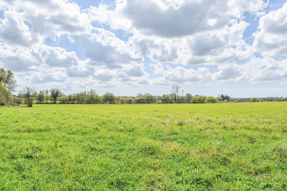 TERRAIN AGRICOLE - PROCHE CENTRE VILLE - IDEAL POUR CHEVAUX - EXPOSITION SUD - ACCES FACILE photo 4