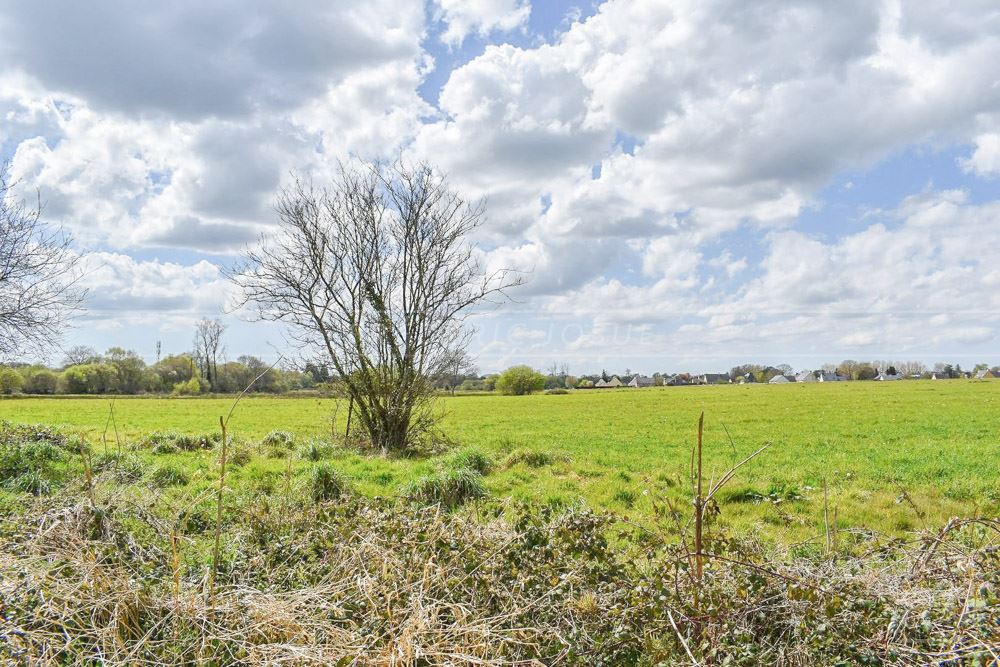 TERRAIN AGRICOLE - PROCHE CENTRE VILLE - IDEAL POUR CHEVAUX - EXPOSITION SUD - ACCES FACILE photo 2