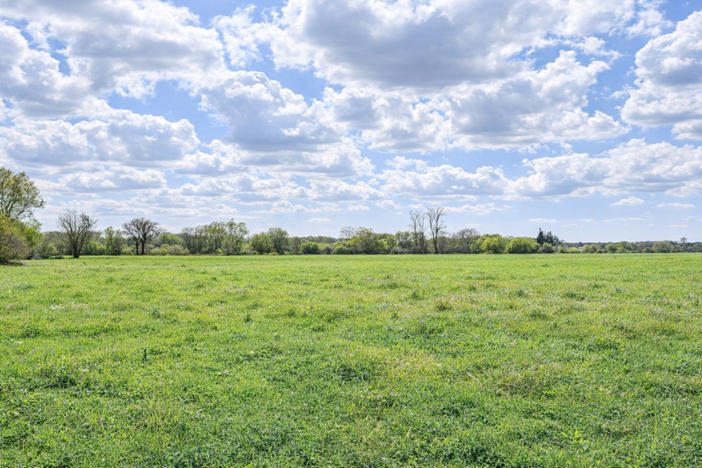 TERRAIN AGRICOLE - PROCHE CENTRE VILLE - IDEAL POUR CHEVAUX - EXPOSITION SUD - ACCES FACILE photo 3