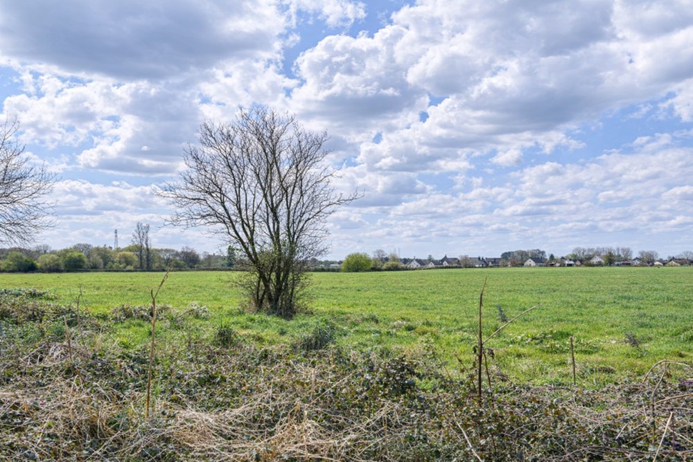 TERRAIN AGRICOLE - PROCHE CENTRE VILLE - IDEAL POUR CHEVAUX - EXPOSITION SUD - ACCES FACILE photo 4