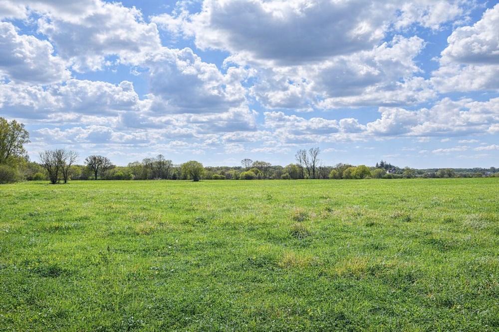 TERRAIN AGRICOLE - ACCES FACILE - IDEAL CHEVAUX - IDEAL MARAICHAGE - PLAT ET AU CALME - photo 3