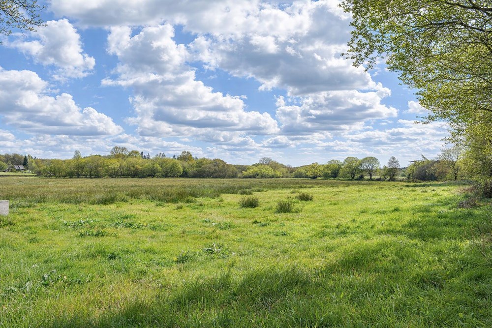 TERRAIN AGRICOLE - ACCES FACILE - IDEAL CHEVAUX - IDEAL MARAICHAGE - PLAT ET AU CALME - photo 4