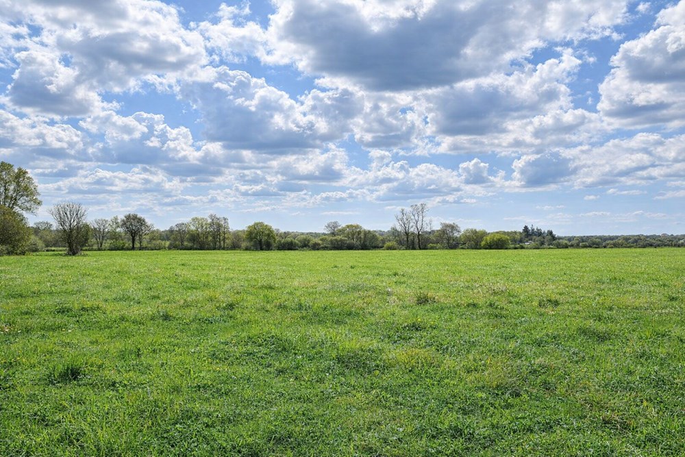 TERRAIN AGRICOLE - PROCHE CENTRE VILLE - IDEAL POUR CHEVAUX - EXPOSITION SUD - ACCES FACILE