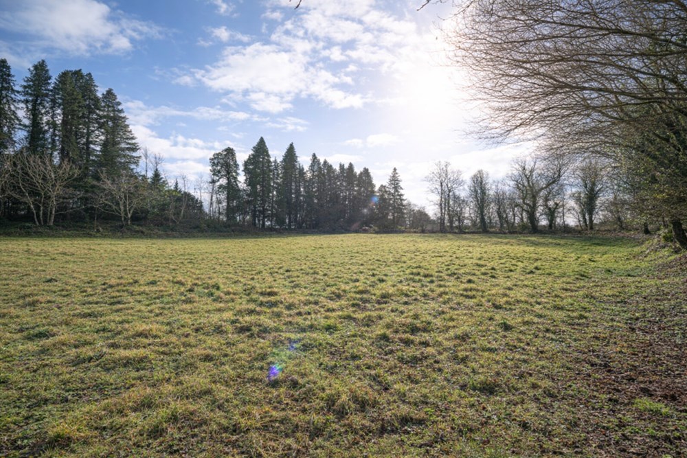 TERRAIN DE 3700M² - A PROXIMITE DU BOURG - IDEAL POUR CHEVAUX OU ANIMAUX / VERGER OU RUCHES - CALME - PLAT photo 2