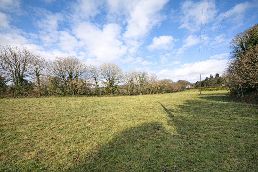 TERRAIN DE 3700M² - A PROXIMITE DU BOURG - IDEAL POUR CHEVAUX OU ANIMAUX / VERGER OU RUCHES - CALME - PLAT photo 5