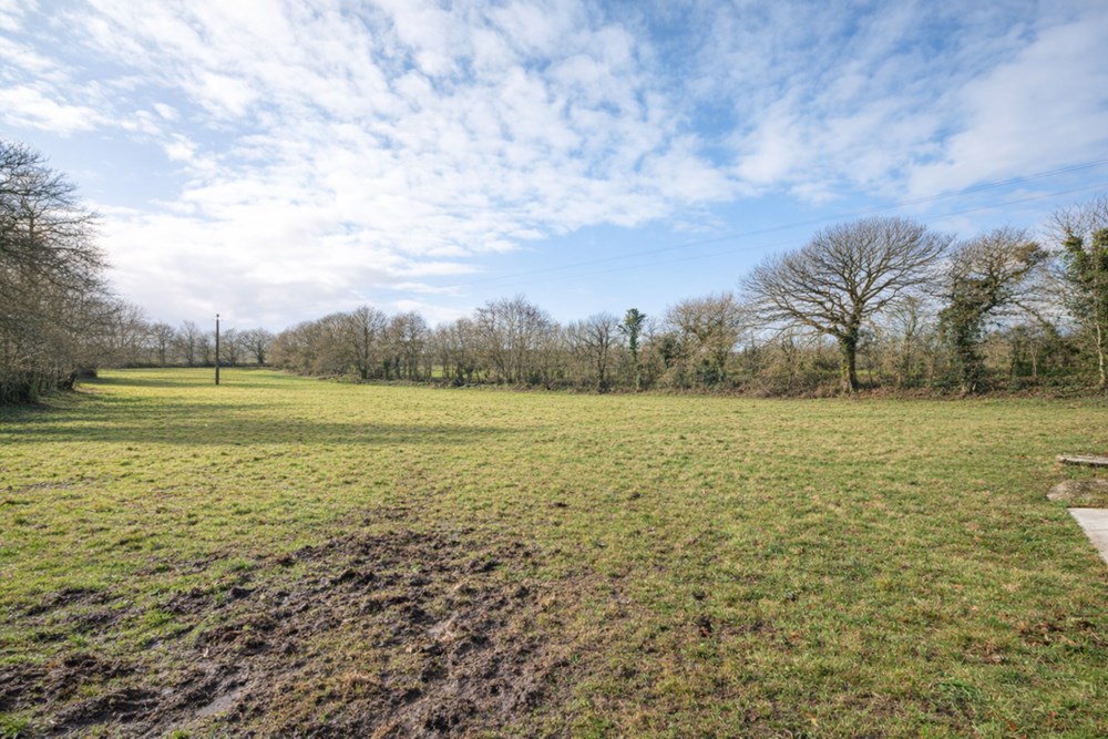TERRAIN DE 3700M² - A PROXIMITE DU BOURG - IDEAL POUR CHEVAUX OU ANIMAUX / VERGER OU RUCHES - CALME - PLAT