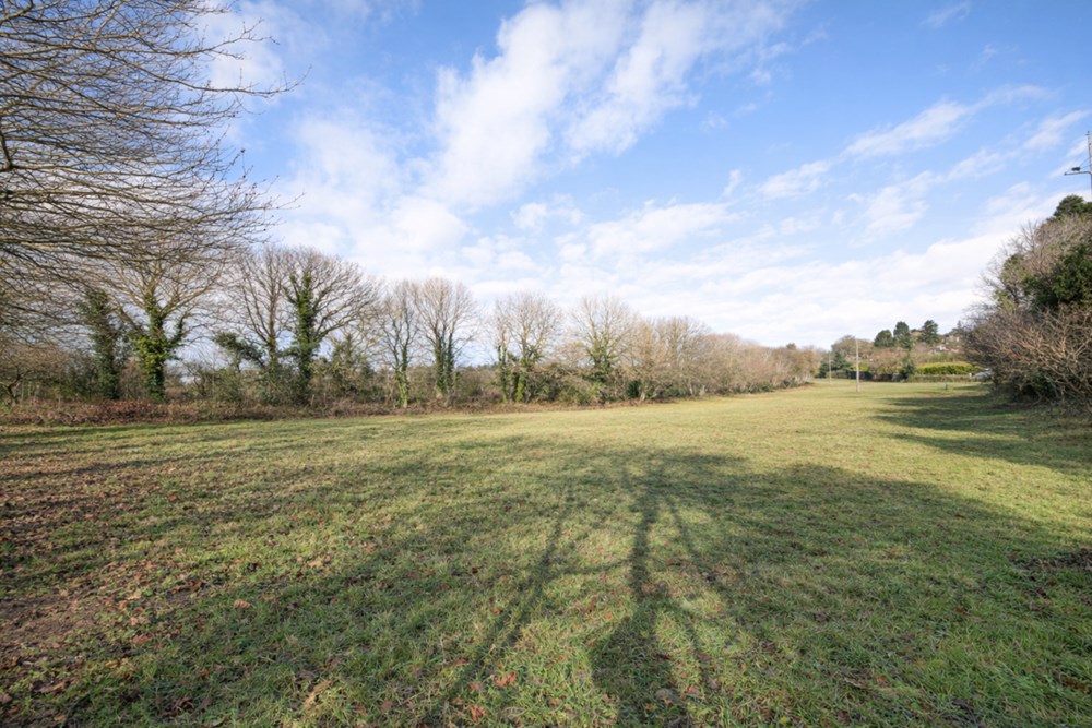 TERRAIN DE 3700M² - A PROXIMITE DU BOURG - IDEAL POUR CHEVAUX OU ANIMAUX / VERGER OU RUCHES - CALME - PLAT photo 3