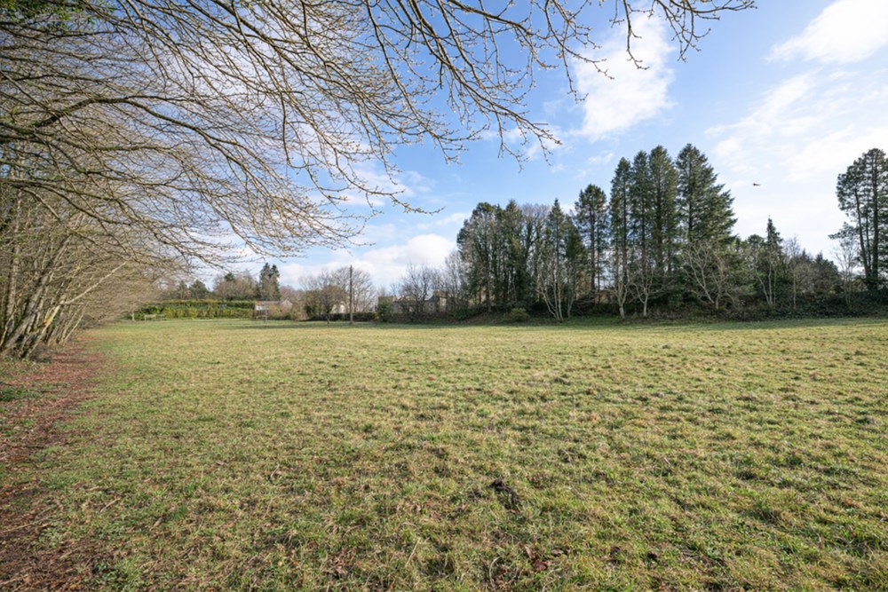 TERRAIN DE 3700M² - A PROXIMITE DU BOURG - IDEAL POUR CHEVAUX OU ANIMAUX / VERGER OU RUCHES - CALME - PLAT photo 4