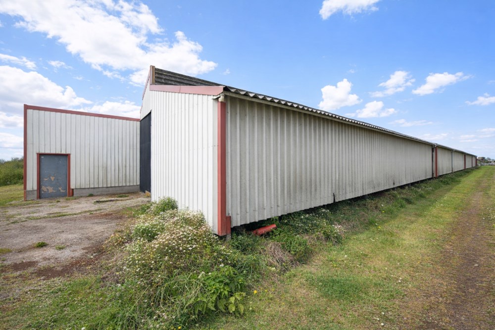 MILIZAC-GUIPRONVEL - LOCAL - 1000 M2 - 1 PIECE photo 2