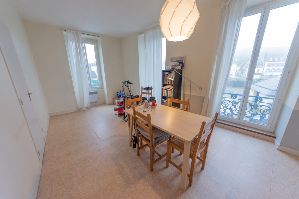APPARTEMENT T3 66M² - 2 CHAMBRES - LOCATAIRE EN PLACE - VUE SUR L'ELORN - BEAU POTENTIEL photo 4