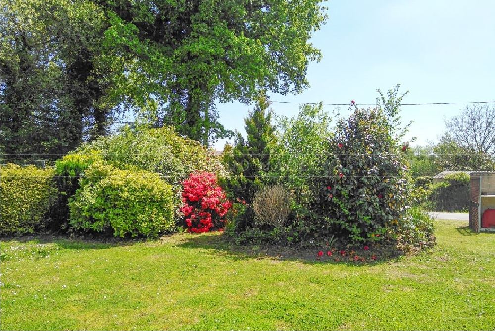 TERRAIN CLOS DE 800 M² - ARBORE - EXPOSE SUD - CALME - RARE photo 3