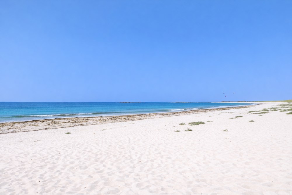TERRAIN DE LOISIR - 100 M DE LA PLAGE - ASSAINISSEMENT INDIVIDUEL - ELECTRICITE - EAU - CLOS photo 3