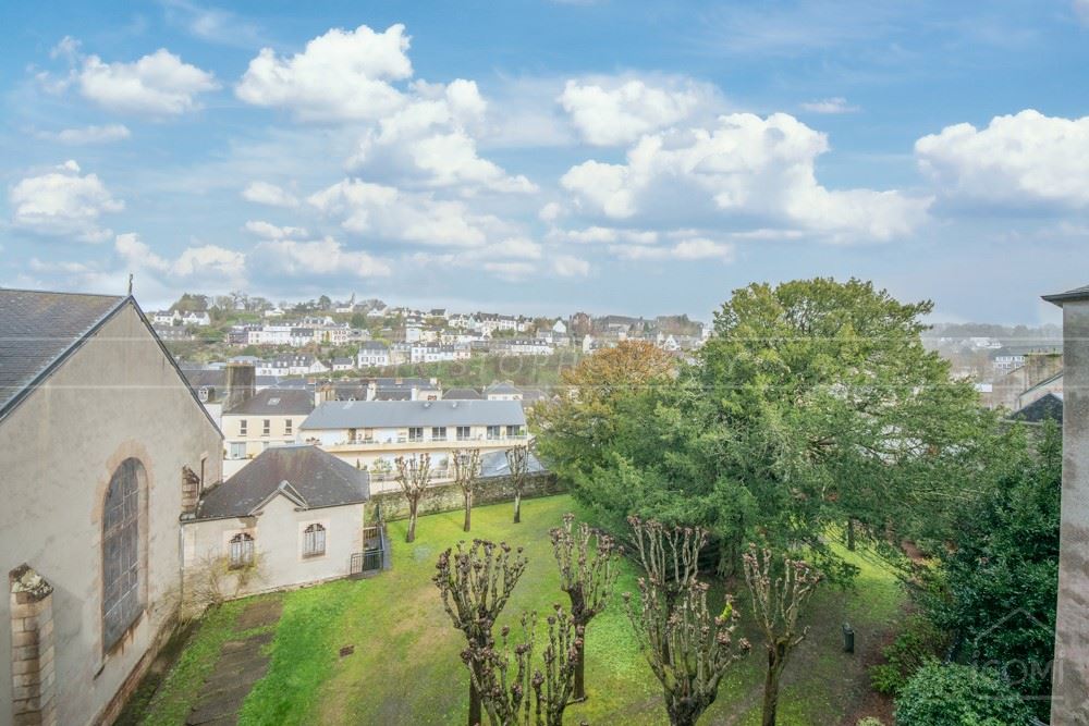 APPARTEMENT T2 AVEC CAVE - SANS TRAVAUX - VUE MAGNIFIQUE - DERNIER ETAGE - FAIBLES CHARGES - PETITE COPROPRIETE photo 5