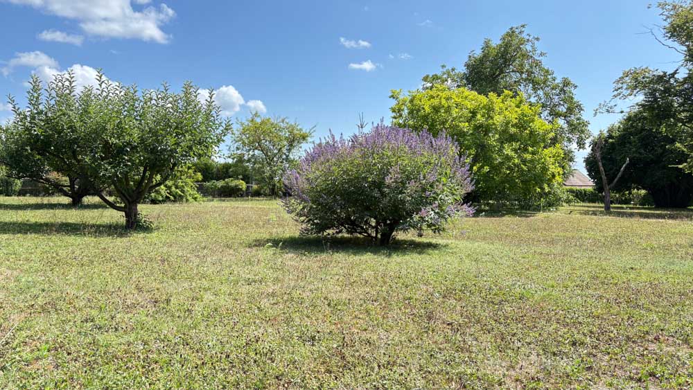 PROPRIETE DE 200M² SUR 2500M² DE TERRAIN - ESPACE DE VIE DOUBLE - 3/4 CHAMBRES - PMR POSSIBLE - COUP DE COEUR ASSURE - RARE photo 5