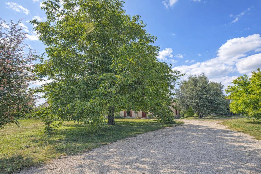 PROPRIETE DE 200M² SUR 2500M² DE TERRAIN - ESPACE DE VIE DOUBLE - 3/4 CHAMBRES - PMR POSSIBLE - COUP DE COEUR ASSURE - RARE photo 3