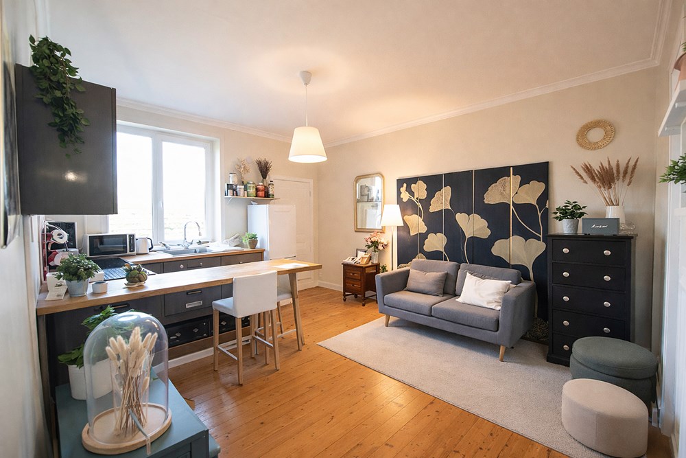 APPARTEMENT T3 DE 48 M2 - DERNIER ETAGE - SANS TRAVAUX - CAVE - CHAUFFAGE ELECTRIQUE - FAIBLE CHARGES - PROXIMITE GARE photo 3