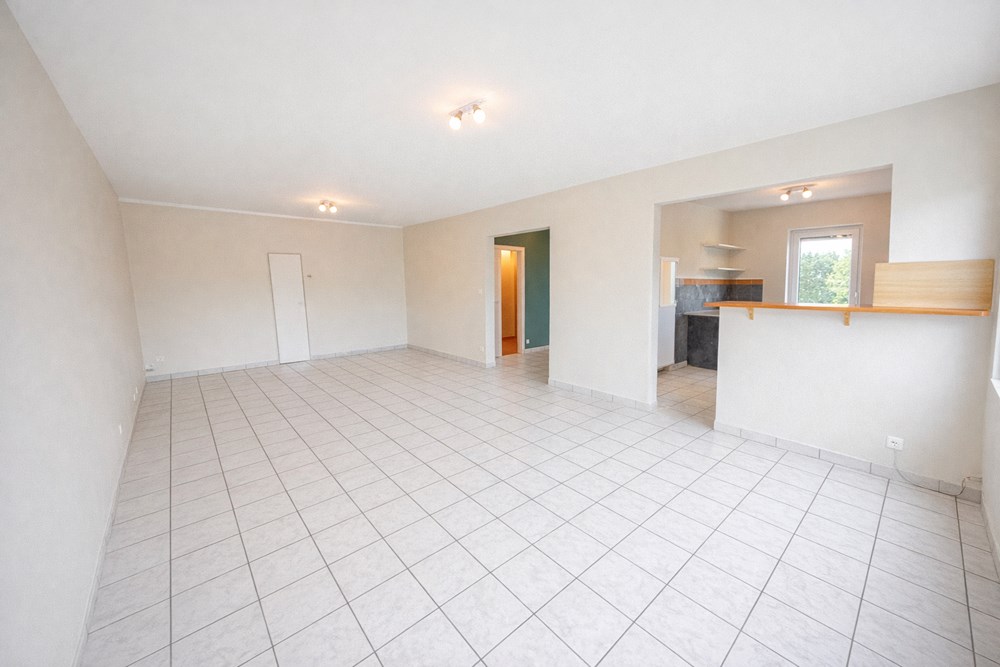 MAISON INDIVIDUELLE T6 115M² DE 1960 - 4 CHAMBRES - GARAGE - BEAU POENTIEL SUR TERRAIN CLOS 600M² photo 4