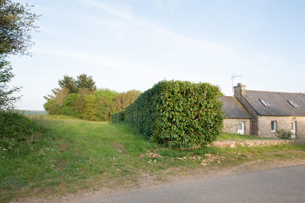 MAISON ET TERRAIN - PLOUGONVEN - COMMUNE DE MORLAIX - EN CAMPAGNE - SECTEUR TRES CALME - VERDOYANT photo 4